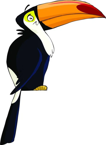 Toucan Sobre Fondo Blanco Ilustración Vectorial — Archivo Imágenes Vectoriales