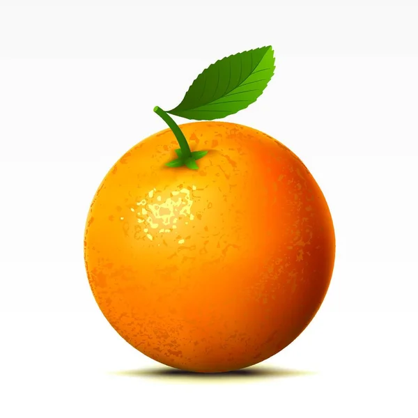 Апельсин Білому Фоні — стоковий вектор