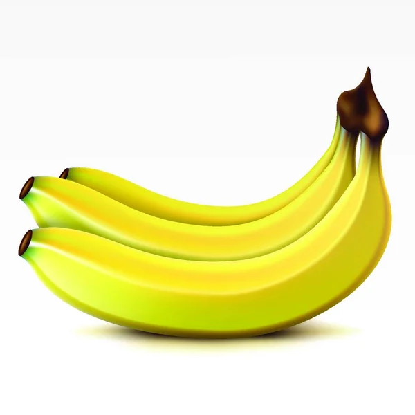 Mazzo Giallo Banane Sfondo Bianco — Vettoriale Stock
