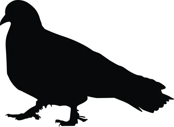 Silhouette Pigeon — Image vectorielle