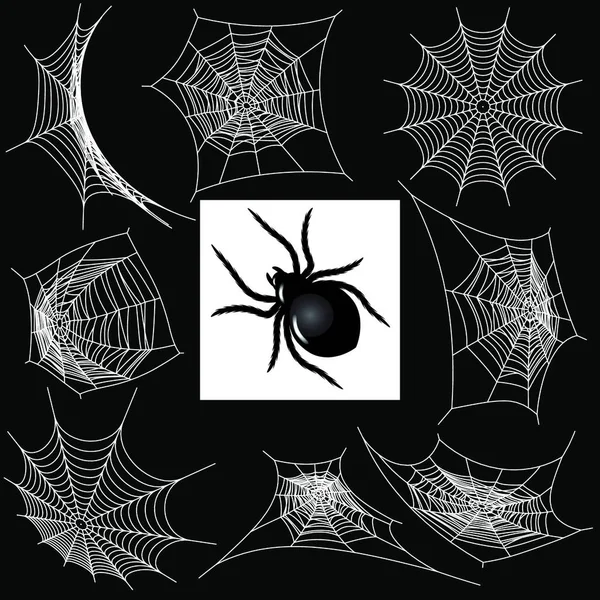 Sada Pavučinami Pavouky — Stockový vektor