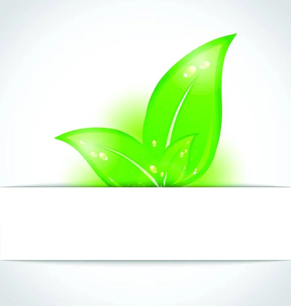 Εικονογράφηση Πράσινα Φύλλα Προεξέχουν Από Κομμένο Χαρτί Διάνυσμα — Διανυσματικό Αρχείο