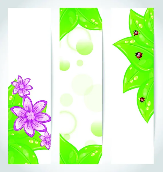 Ilustración Conjunto Banners Eco Compatibles Con Diseño Conceptos Biológicos Vector — Vector de stock