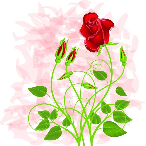 Sfondo Con Bouquet Rosa Rossa — Vettoriale Stock