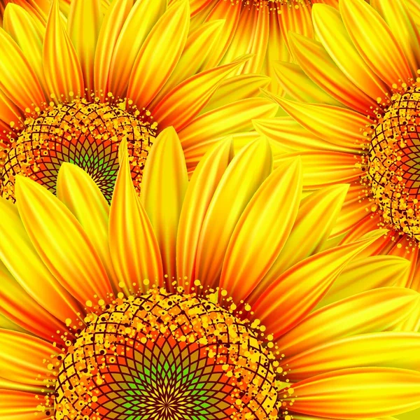 Hintergrund Mit Gelben Sonnenblumen Maschen Beschneidungsmaske — Stockvektor