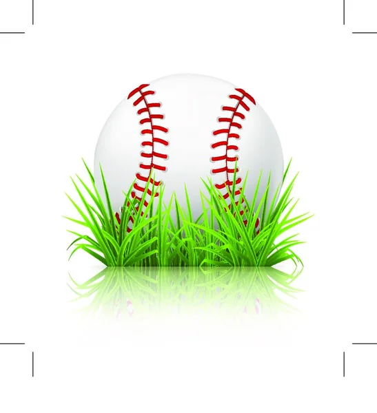 Baseball Erba 10Eps — Vettoriale Stock