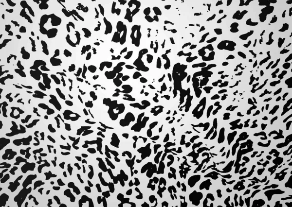 Branco Preto Neve Leopardo Abstrato Fundo Pele —  Vetores de Stock