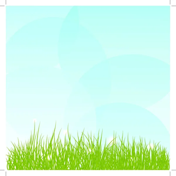 Background Grass Sky — Stock Vector