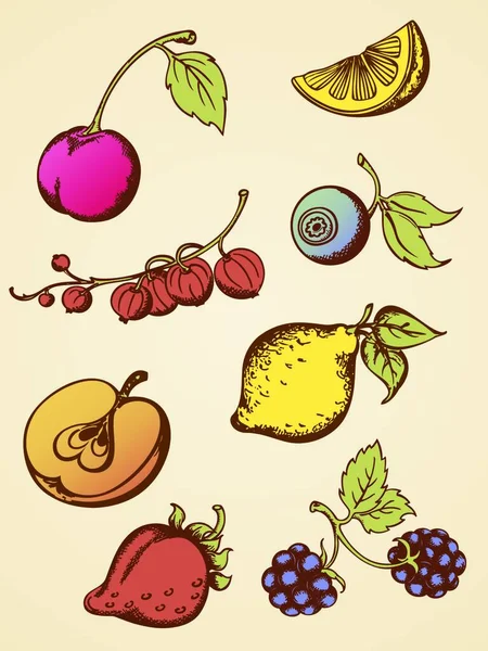 Ensemble Fruits Millésime Dessinés Main — Image vectorielle