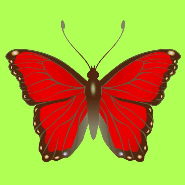 Векторная Иллюстрация Ярко Окрашенной Бабочки — стоковый вектор