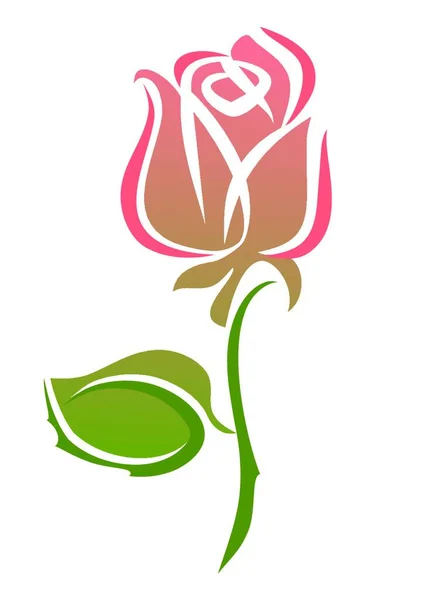 Pétalos Flor Rosa Flora — Vector de stock