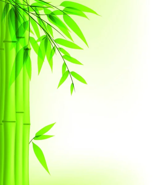 Fundo Vetorial Com Bambu Verde — Vetor de Stock