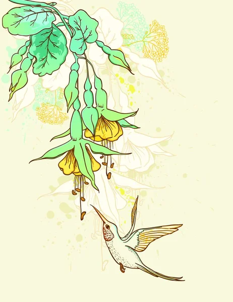ハミング鳥 熱帯の花の花の背景 — ストックベクタ