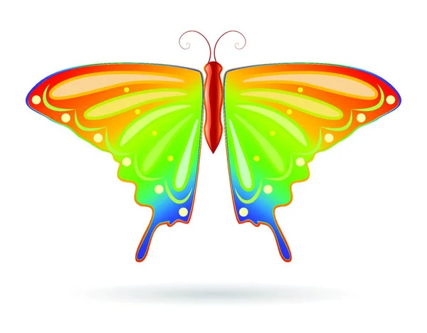 Papillon Sur Blanc Illustration Vectorielle Simple — Image vectorielle