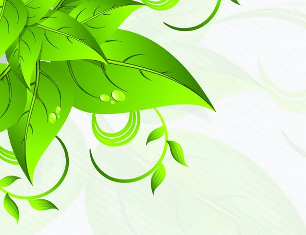 Hintergrund Mit Blättern Abstrakte Frühlingsillustration — Stockvektor