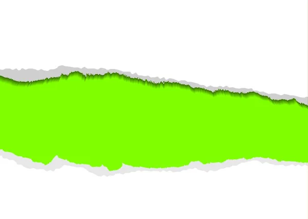 Зеленый Фон Белым Рваным Краем Бумаги Тенью — стоковый вектор