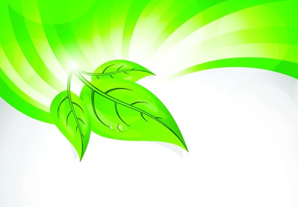 Fondo Verde Primavera Con Hojas Ilustración Abstracta — Vector de stock