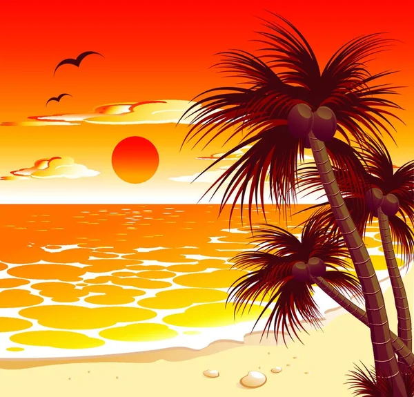 Schöne Tropische Meereslandschaft Mit Sonnenuntergang Und Palmen — Stockvektor