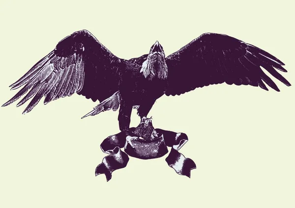 Grafische Vektorillustration Eines Adlers Der Seine Flügel Ausbreitet Vektorillustration — Stockvektor
