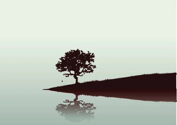 Silhouette Albero Riflessioni Sull Acqua — Vettoriale Stock