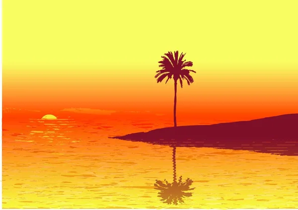 Puesta Sol Roja Una Playa Tropical Ilustración Vectorial — Archivo Imágenes Vectoriales