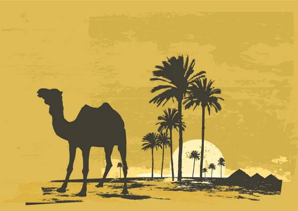 Ilustração Vetorial Pôr Sol Deserto Africano Camelo Palmas Fundo Grunge — Vetor de Stock