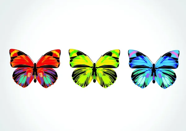 Векторна Ілюстрація Набір Красивих Яскраво Різнокольорових Метеликів — стоковий вектор