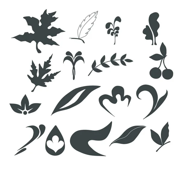Colección Iconos Naturaleza Leaf — Vector de stock