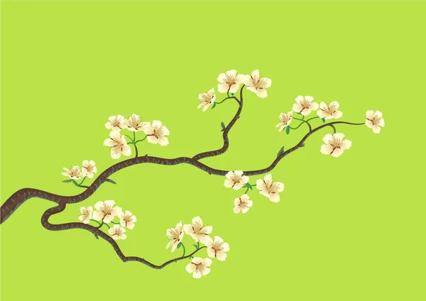 Векторна Ілюстрація Квітки Сакури Японського Вишневого Дерева — стоковий вектор