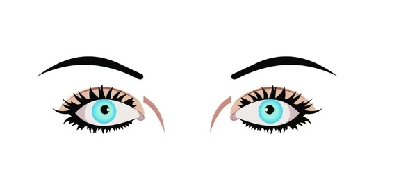 Die Realistische Darstellung Der Augen Ist Auf Weißem Hintergrund Isoliert — Stockvektor