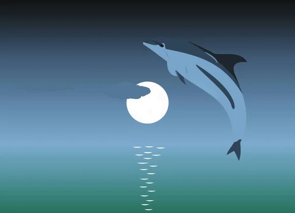 Illustratie Van Een Springende Dolfijn Een Maanlicht Vector — Stockvector