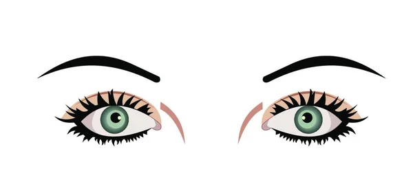 Реалистичная Иллюстрация Глаз Выделена Белом Фоне Вектор — стоковый вектор