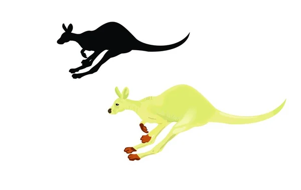 Running Kangaroo Isolated White Background Vector — Stock Vector