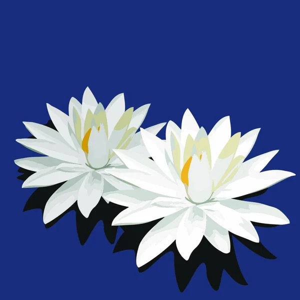 Illustration Vectorielle Lotus Est Isolé Sur Fond Bleu — Image vectorielle