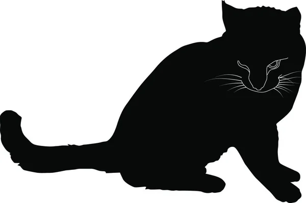 Siyah Bir Kedi Silueti — Stok Vektör