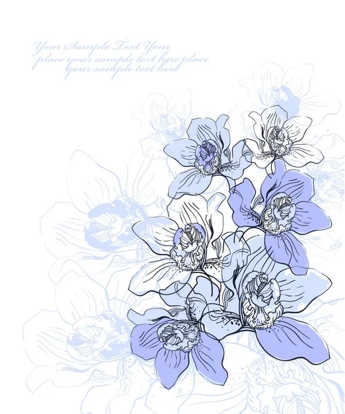 Vektorové Květinové Ilustrace Kvetoucích Orchidejí — Stockový vektor