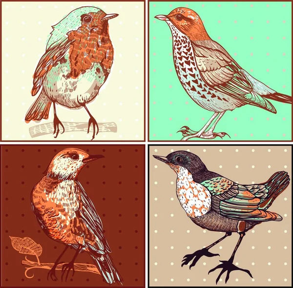 Vetor Conjunto Cartões Vintage Com Pássaros Desenhados Mão —  Vetores de Stock