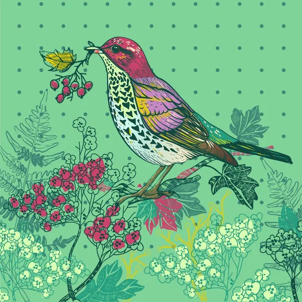 Vectorillustratie Van Een Vogel Met Bloeiende Herfstplanten — Stockvector