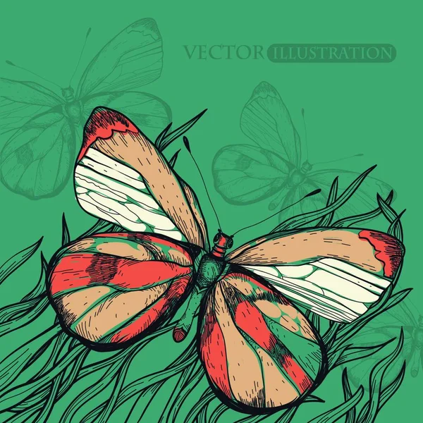 Ilustración Vectorial Una Mariposa Multicolor — Vector de stock