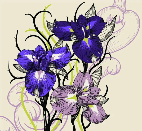 Vector Ilustração Floral Íris Florescentes —  Vetores de Stock
