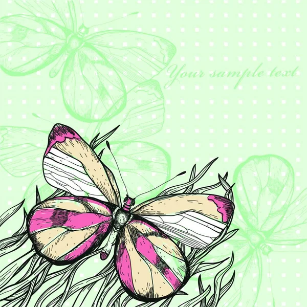 Illustration Vectorielle Papillon Coloré Dans Style Vintage — Image vectorielle