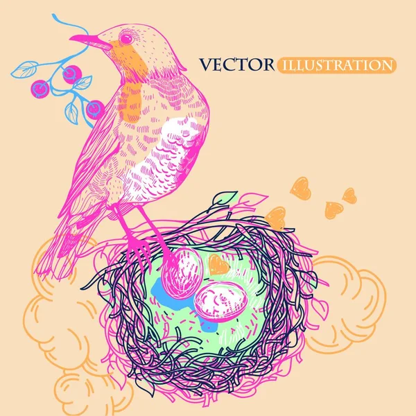 巣のあるカラフルな鳥のベクトル図 — ストックベクタ