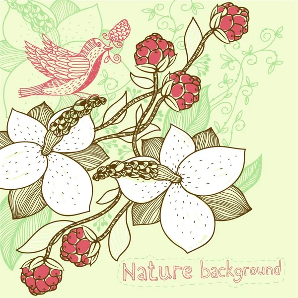 Vecteur Fond Floral Avec Magnolia Fleuri Baies Rouges — Image vectorielle