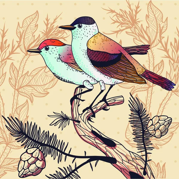 Illustration Vectorielle Avec Quelques Oiseaux Forestiers Colorés — Image vectorielle