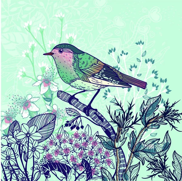 Vektor Illustration Liten Fågel Och Blommande Vilda Växter — Stock vektor