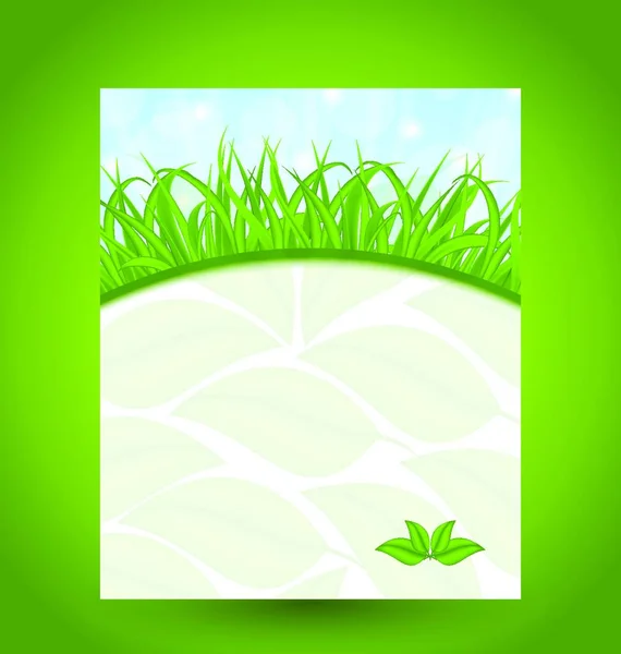 Illusztrációs Ökológia Kártya Zöld Fűvel Öko Levelekkel Vektor — Stock Vector