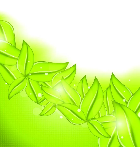 Экологический Фон Эко Зелеными Листьями Вектор — стоковый вектор