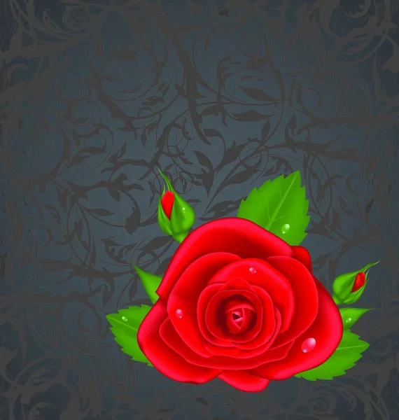 Illustration Nahaufnahme Rote Rose Isoliert Auf Grunge Floralem Hintergrund Vektor — Stockvektor