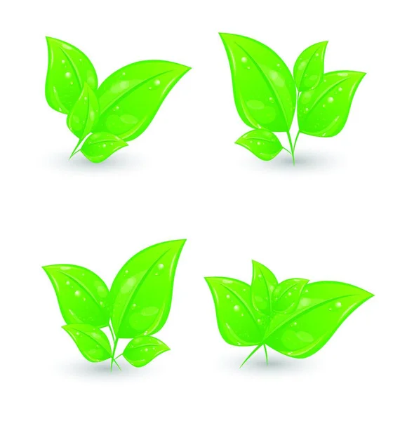 Set Illustrazione Foglie Ecologiche Verdi Isolate Sfondo Bianco Vettore — Vettoriale Stock