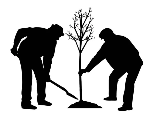 Ilustração Silhuetas Dois Homens Plantando Uma Árvore Fundo Branco Isolado — Vetor de Stock